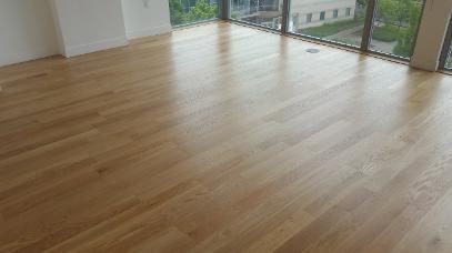 Dustless refinish in Pearl District